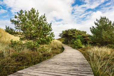 Dunes Adası Amrum üzerinde Kuzey Denizi kıyısında