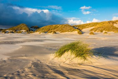 Dunes Adası Amrum üzerinde Kuzey Denizi kıyısında