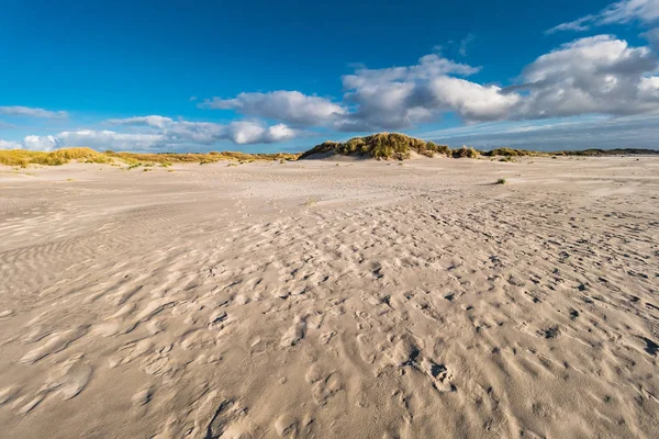 Dunes on the North Sea coast on the island Amrum — Stock Photo, Image