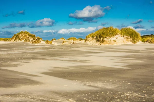 Dunes sur la côte de la mer du Nord sur l'île d'Amrum — Photo