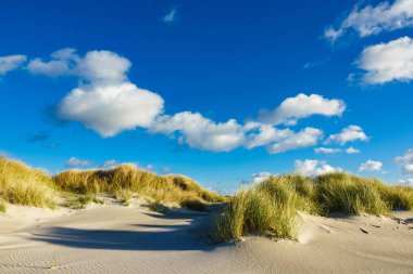 Dunes Adası Amrum üzerinde Kuzey Denizi kıyısında