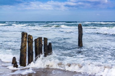 Fırtınalı bir günde Baltık Denizi kıyısında Groyne 'ler