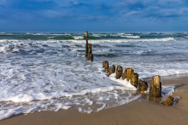Fırtınalı bir günde Baltık Denizi kıyısında Groyne 'ler