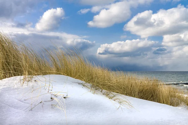 Heure d'hiver sur le rivage de la mer Baltique — Photo