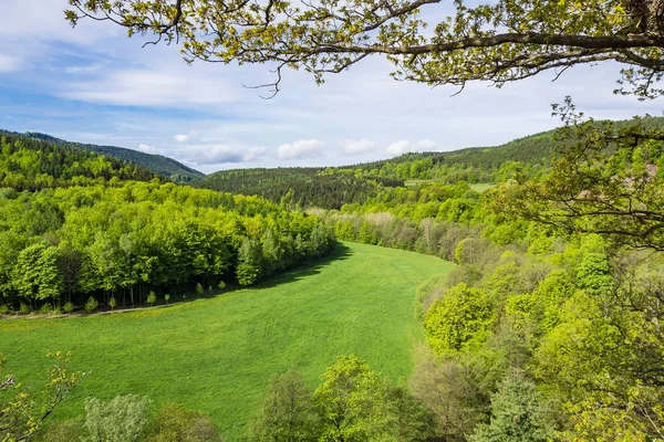Landschap in het Thüringer Woud met bomen en weide — Stockfoto