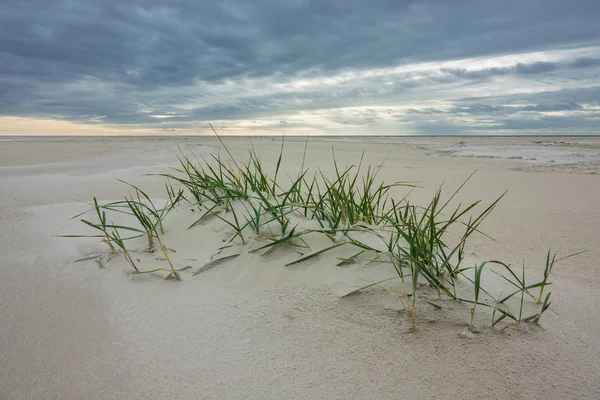 Strand auf der Nordseeinsel Amrum, Deutschland — Stockfoto