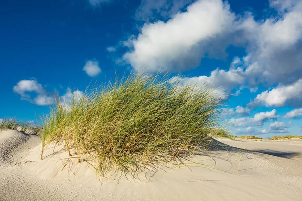 Dune sull'isola del Mare del Nord Amrum, Germania — Foto Stock