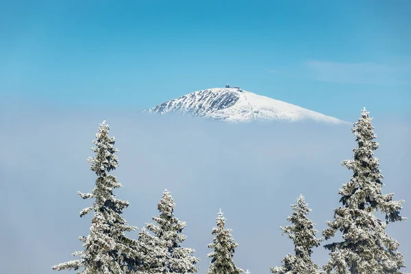 チェコ共和国の巨人山脈で雪と冬 — ストック写真