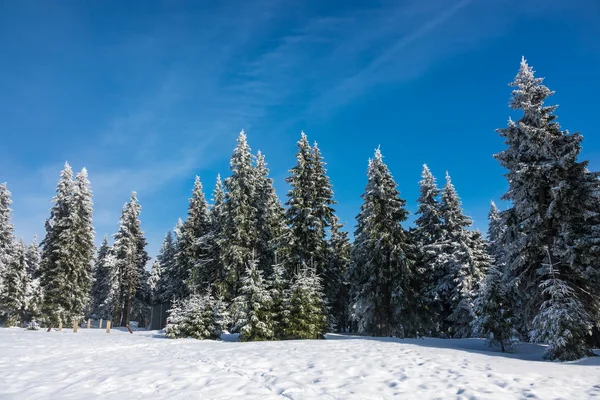 Hiver avec neige dans les Monts Géants, République Tchèque — Photo