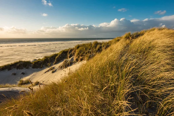 Dunes sur la côte de la mer du Nord — Photo