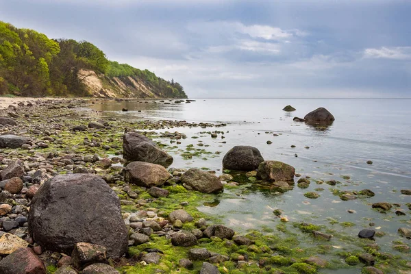 Baltık Denizi kıyısında buluntularını — Stok fotoğraf