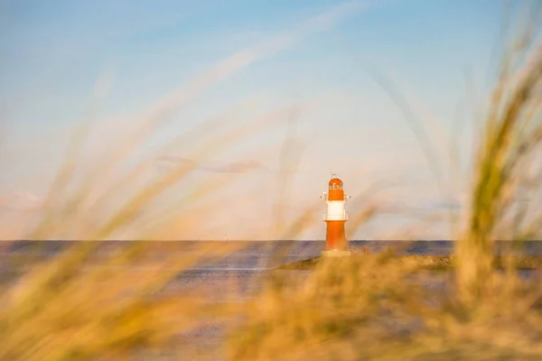 The Mole in Warnemuende with dune grass — Stock Photo, Image