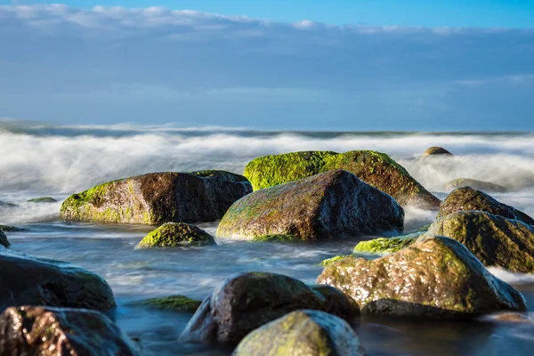 Камені на березі Балтійського моря — стокове фото
