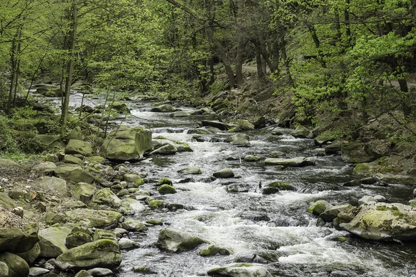 Krajina s řekou Bode v oblasti Harz, Německo — Stock fotografie