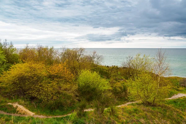 Landscape on shore of the Baltic Sea — Stock Photo, Image