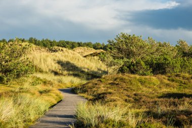 Dunes Adası Amrum, Almanya Kuzey Denizi kıyısında