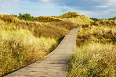 Dunes Adası Amrum, Almanya Kuzey Denizi kıyısında
