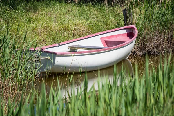 Камышовая лодка в камышах — стоковое фото