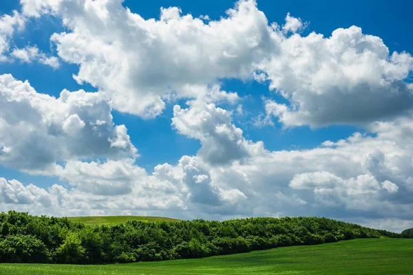 Paisagem com árvores e nuvens no céu — Fotografia de Stock