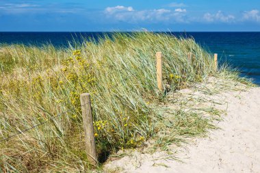 Baltık Denizi kıyısında plaj