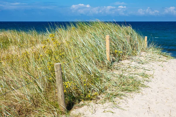 Baltık Denizi kıyısında plaj