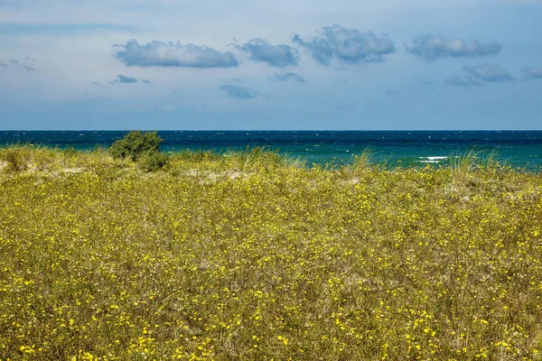 Baltık Denizi kıyısında plaj