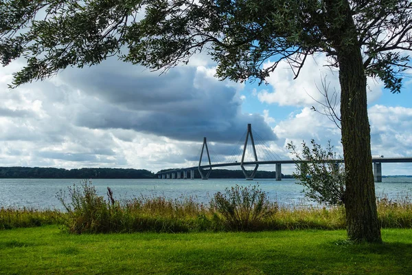 Vista a un puente con árbol en Dinamarca — Foto de Stock