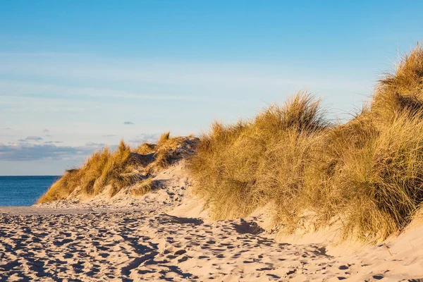 Duna na praia em Warnemuende, Alemanha — Fotografia de Stock