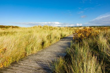 Dunes Adası Amrum, Almanya Kuzey Denizi kıyısında