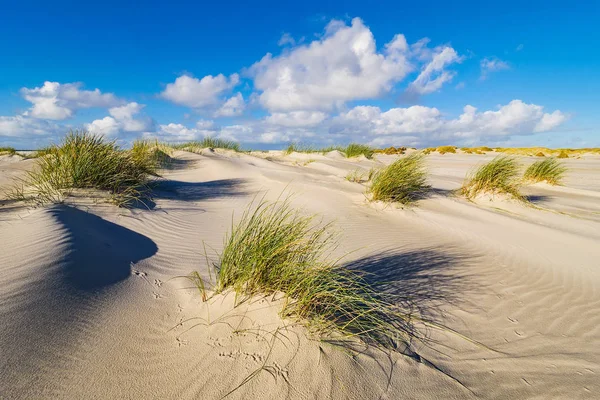 Dunes on the North Sea coast on the island Amrum, Germany — Stock Photo, Image