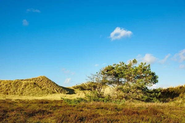 Dunes Adası Amrum, Almanya Kuzey Denizi kıyısında
