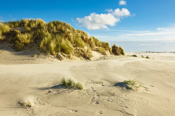 Dune sulla costa del Mare del Nord sull'isola di Amrum, Germania — Foto Stock