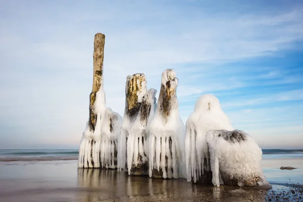 Зима на берегу Балтийского моря — стоковое фото