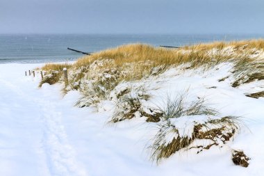 Kış Ahrenshoop, Almanya'da Baltık Denizi kıyısında