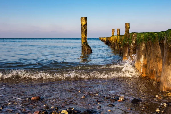 Baltic Sea coast in Graal Mueritz, Germany — Stock Photo, Image