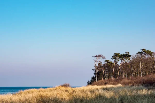 Берег Балтійського моря в Грааль - Муериц (Німеччина). — стокове фото