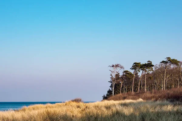 Côte de la mer Baltique à Graal Mueritz, Allemagne — Photo