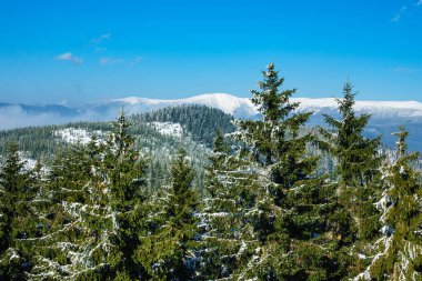 Çek Cumhuriyeti, Dev Dağlar 'da kışın karla kaplı.