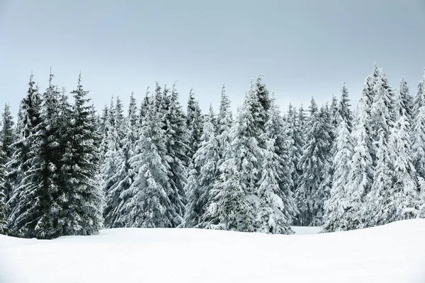 Hiver avec neige dans les Monts Géants, République Tchèque — Photo