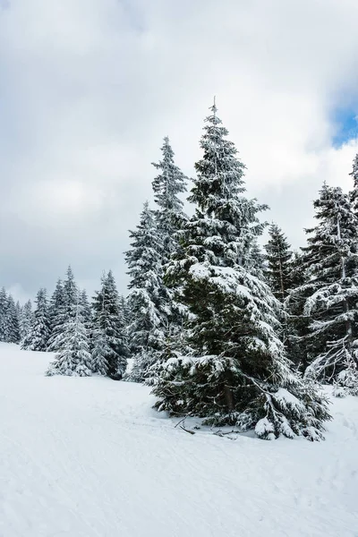 Hiver avec neige dans les Monts Géants, République Tchèque — Photo