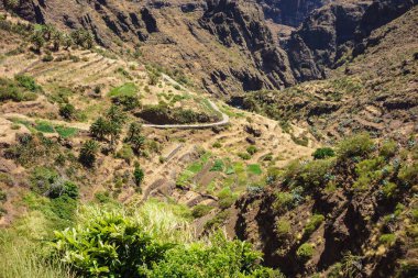 Kanarya peyzaj tenerife ada