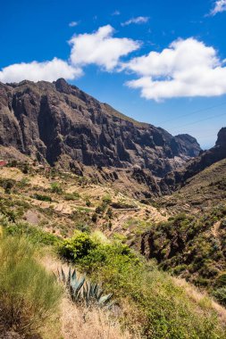 Kanarya peyzaj tenerife ada