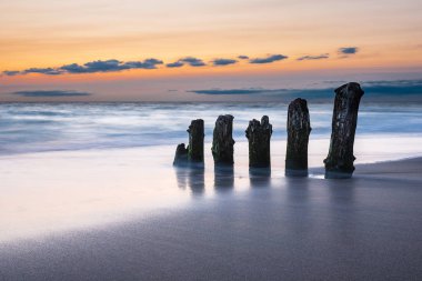 Groynes Kuehlungsborn, Almanya'da Baltık Denizi kıyısında
