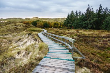 Kuzey Denizi adasındaki kum tepeleri Amrum, Almanya