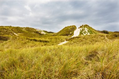 Kuzey Denizi adasındaki kum tepeleri Amrum, Almanya