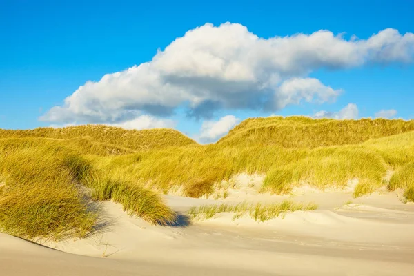 Duny na ostrově Severní moře Amrum, Německo — Stock fotografie