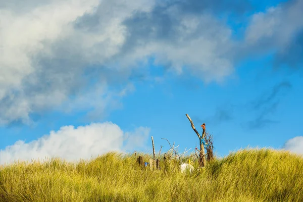 Kuzey Denizi adasındaki kum tepeleri Amrum, Almanya — Stok fotoğraf