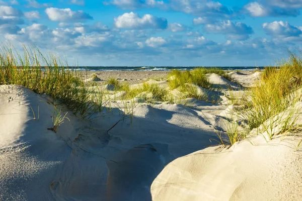 Dunas na ilha do Mar do Norte Amrum, Alemanha — Fotografia de Stock