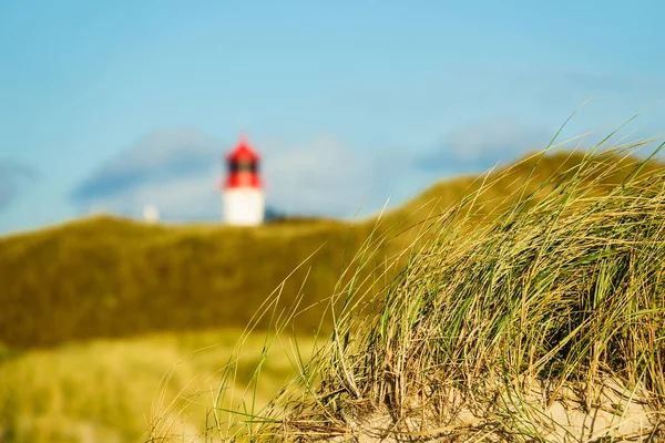 灯塔在北海海岛 Amrum, 德国 — 图库照片