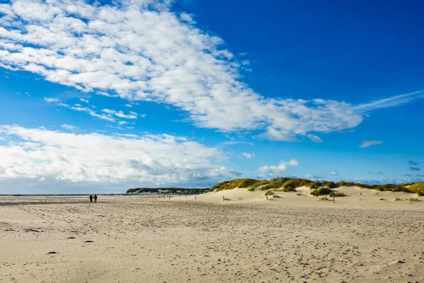 德国Amrum北海岛屿上的沙丘 — 图库照片